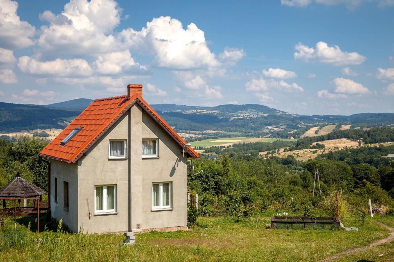 Wzgorze Artystow Villa Gluszyca Exterior photo