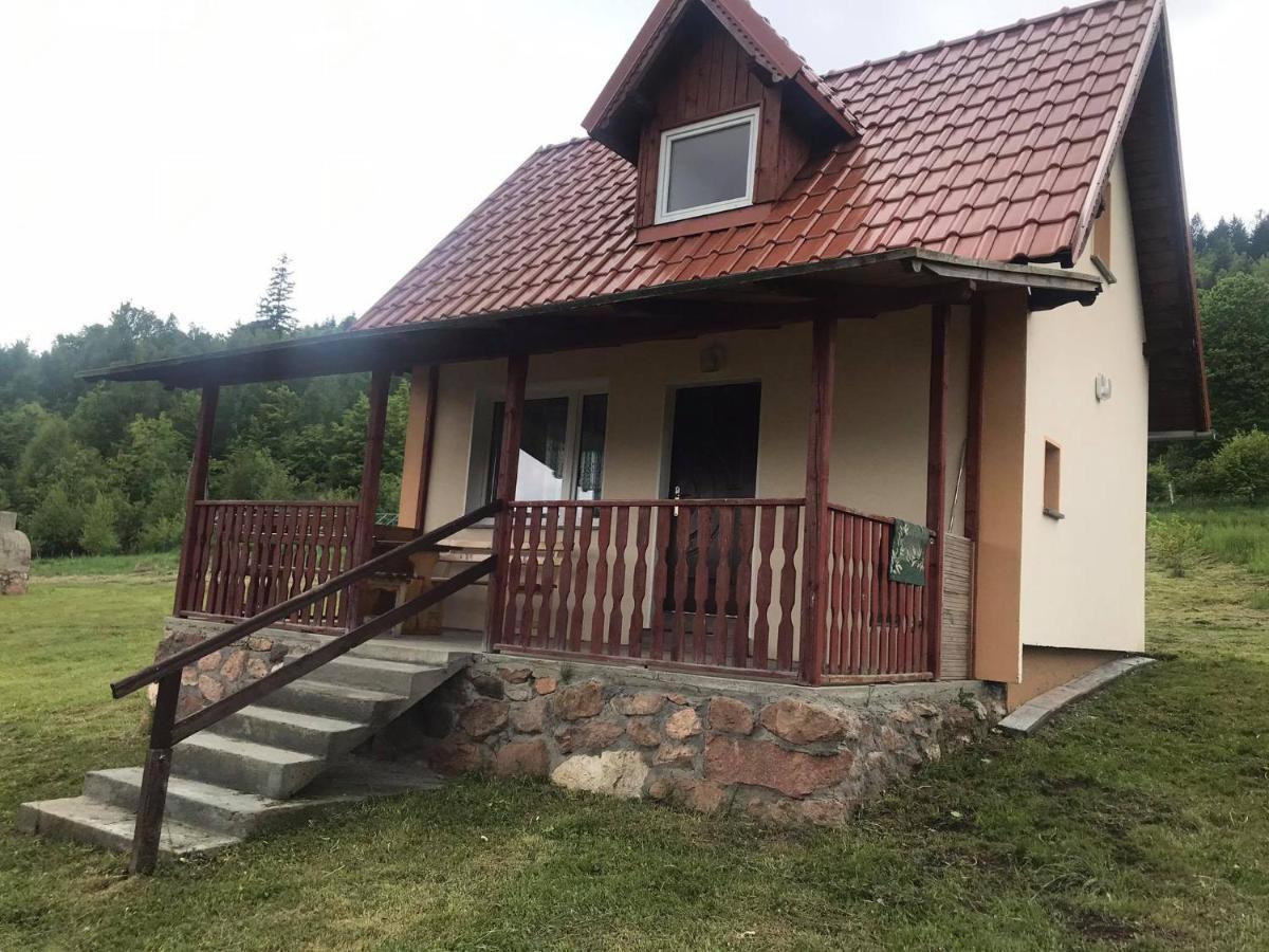 Wzgorze Artystow Villa Gluszyca Exterior photo