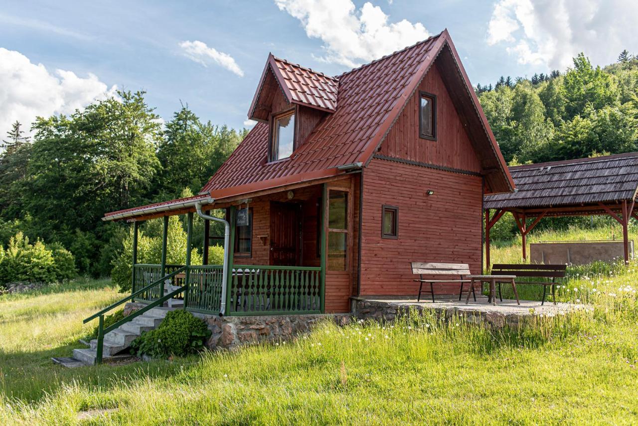Wzgorze Artystow Villa Gluszyca Exterior photo