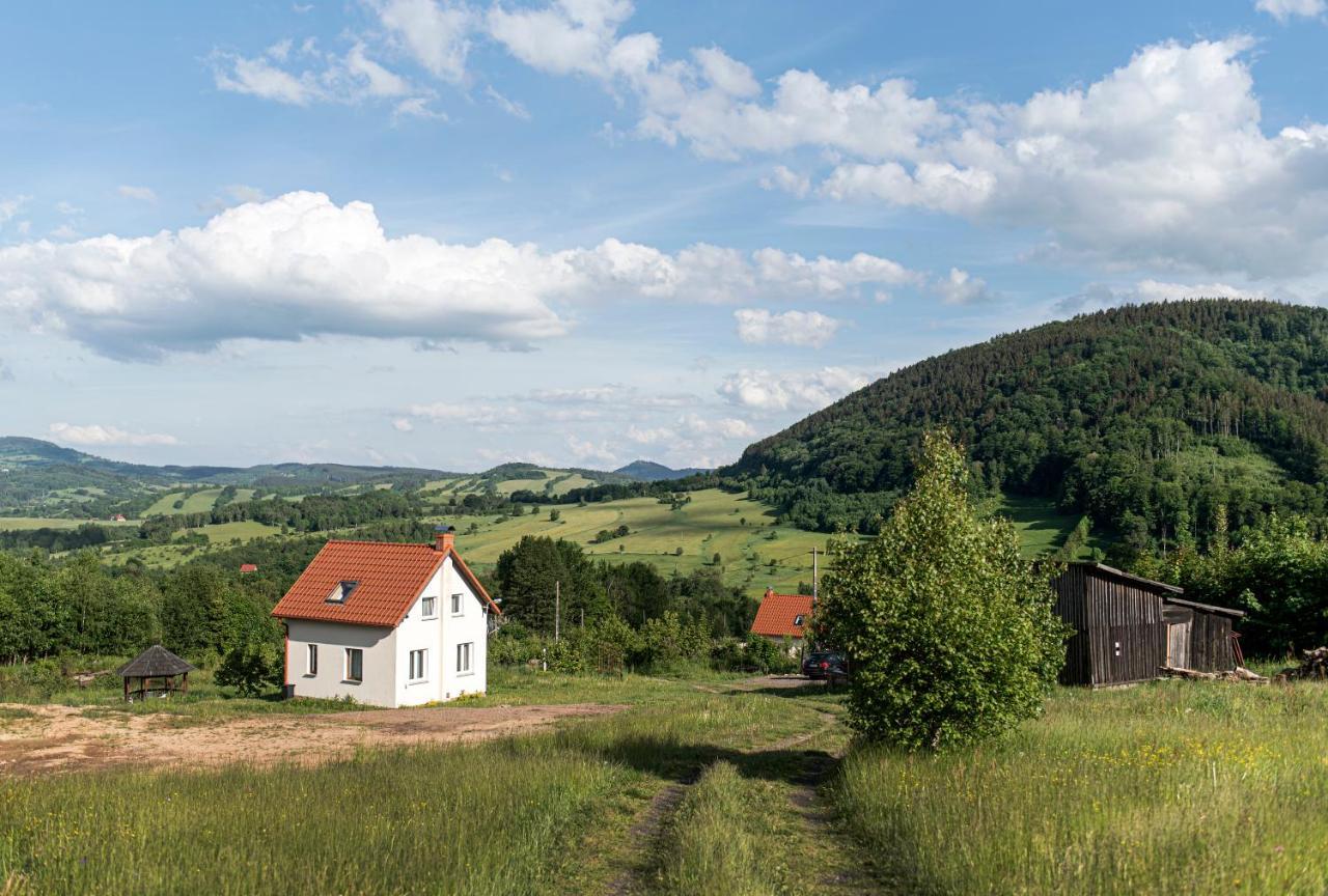 Wzgorze Artystow Villa Gluszyca Exterior photo
